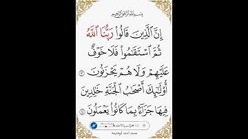 تلاوة قصيرة من سورة الأحقاف محمد أحمد أبوغنيمة #المصحف