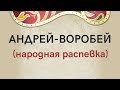 АНДРЕЙ-ВОРОБЕЙ народная распевка. ЗАТЕЯ детский фольклорный ансамбль.