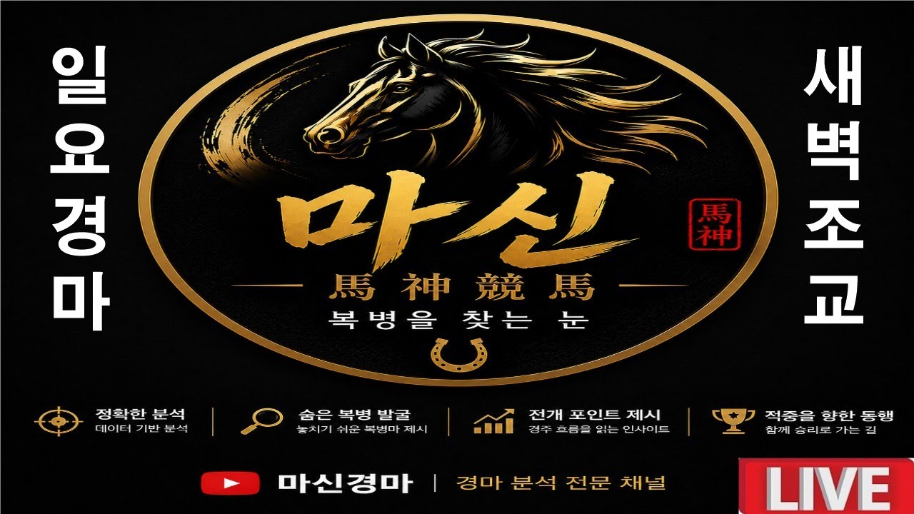 6월13일 일요경마#새벽조교#분석방송#전경주 라이브 방송#마신경마#경마 분석 전문 채널#복병마 발굴#정확한 분석#전개포인트 제시