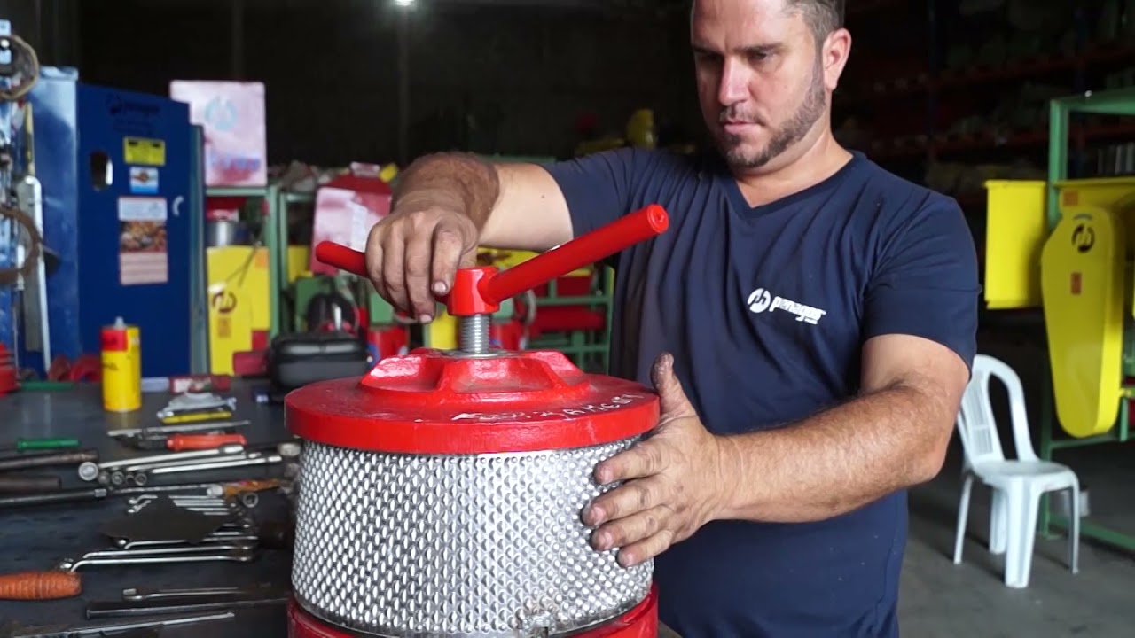 Café: Arábica e conilon começam semana com ajustes técnicos – Penagos Monte  Alegre