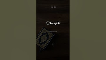 سورة عبس || بصوت الشيخ محمد احمد حسن طالب الأزهر