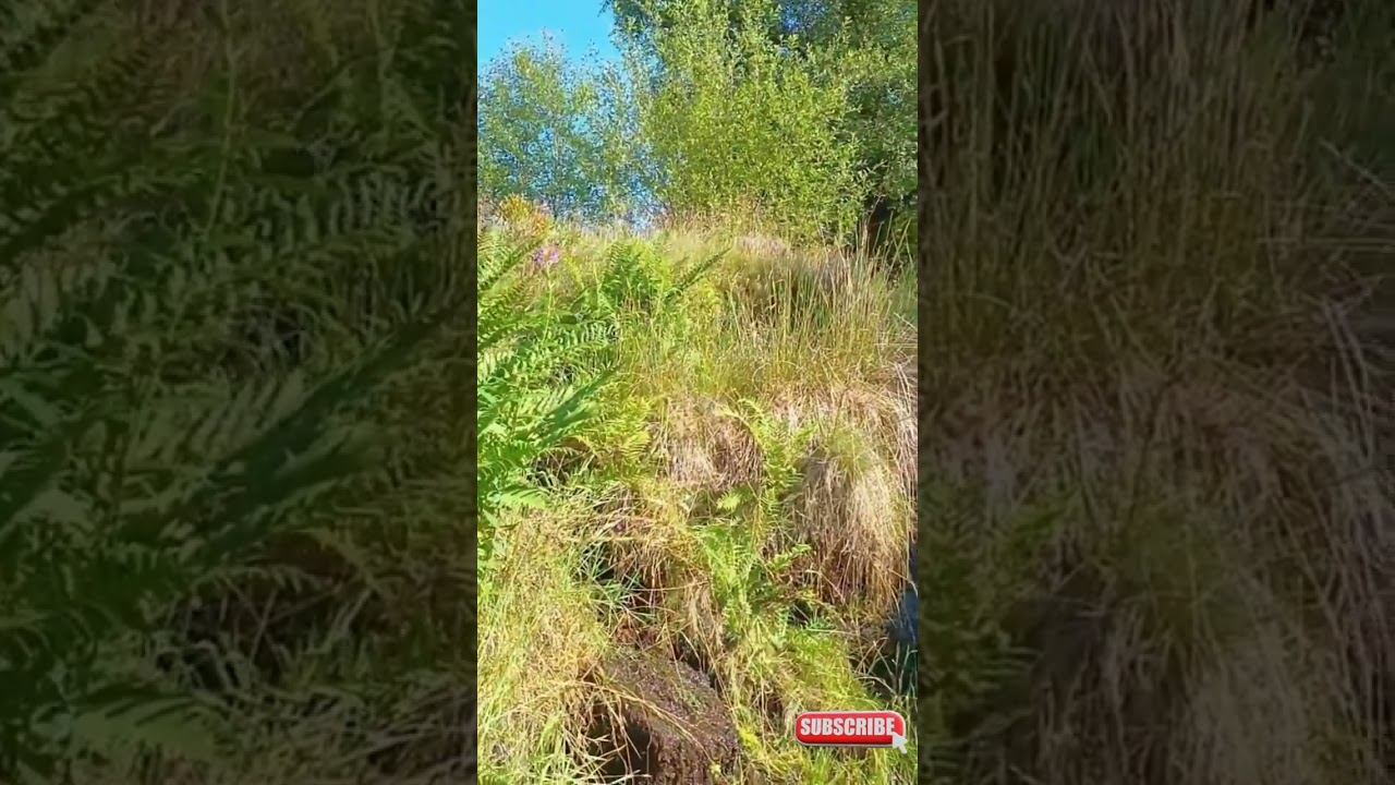 EXPLORE! NEVER GIVE UP