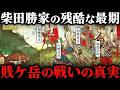 賤ケ岳の戦いの真実!豊臣秀吉はなぜ柴田勝家を討ったのか?【豊臣兄弟!】