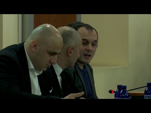 ნიკა მელიას საქმე - სარჩელს საკონსტიტუციო სასამართლო განიხილავს