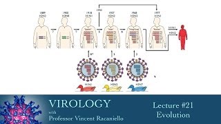 Virology 2014 lecture #21 - Evolution Profile