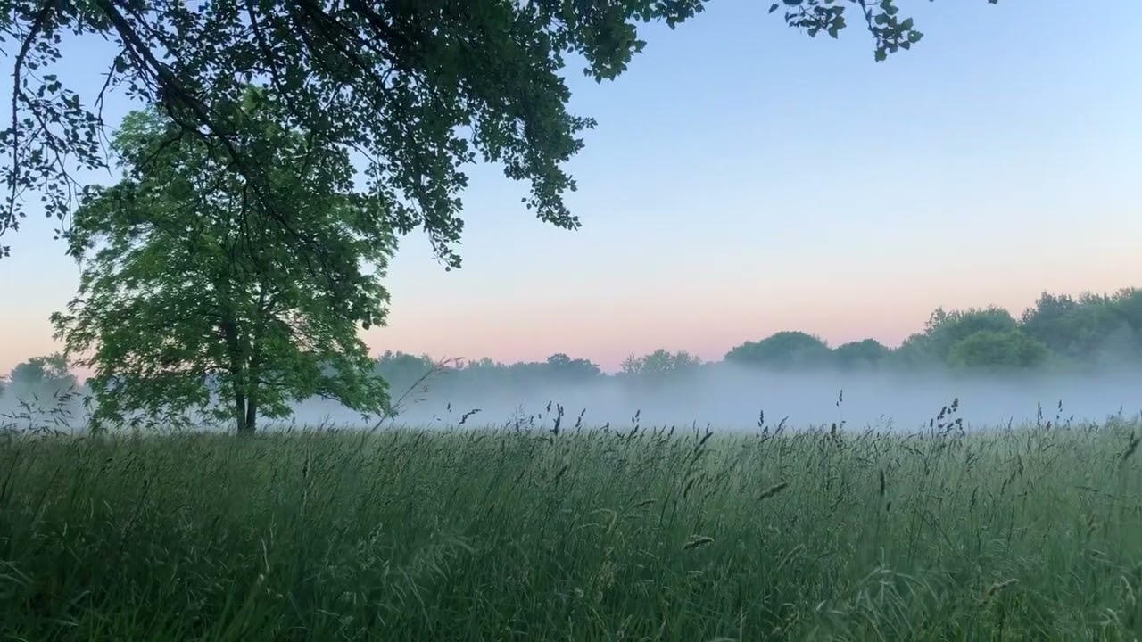 The Moment in Morning