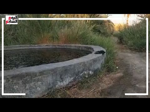 هنا مات أب وإبنيه فى سيوة من موقع غرق 3 من أسرة واحدة