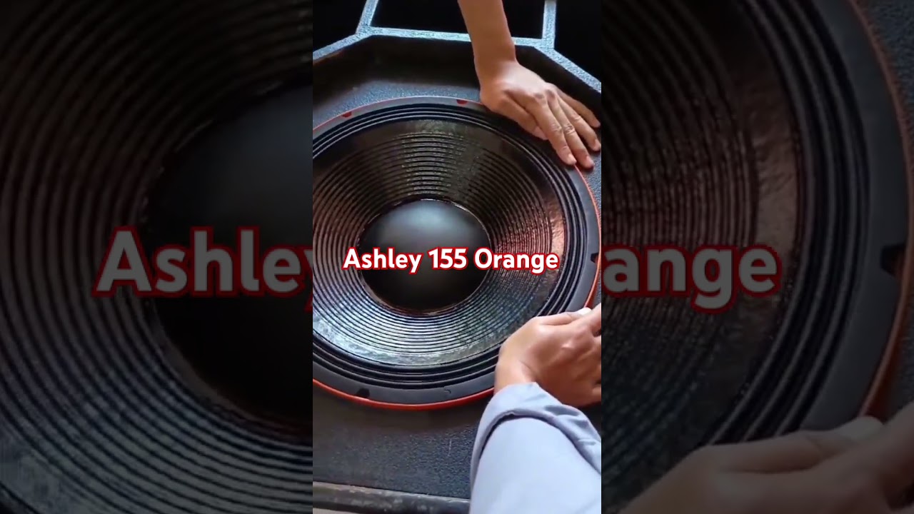 Speaker Ashley 155 Orange