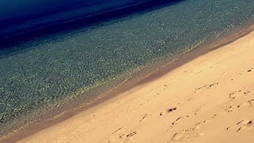 تلاوة حجازية من سورة البقرة (شهر رمضان الذي أنزل فيه القرآن) د. أمين مختار
