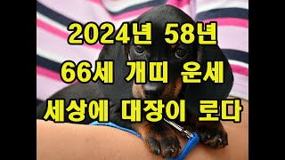 2024년 58년 개띠운세  세상에 대장이 되는구나