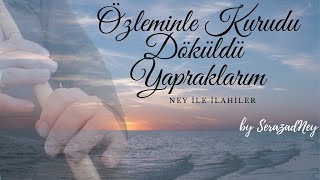 Ney Ile İlahiler Özleminle (Mustafa Demirci Ilahisi) Resimi