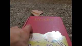 The Diary Of A Wimpy Kid Journal Diary With Tristin