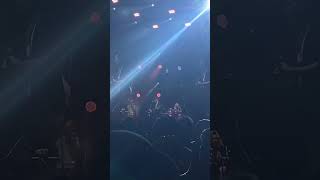 Konser Iwan Fals U0026 Band  Serenade shorts iwanfals gaungmerah