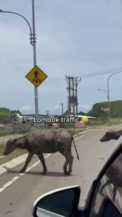 A day in Lombok