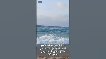 تلاوة مؤثرة · من روائع التلاوات سورة الأنبياء ابراهيم الجبرين