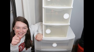 DIY Leopard Gecko Rack!