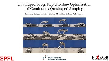 Quadruped-Frog: Rapid Online Optimization of Continuous Quadruped Jumping