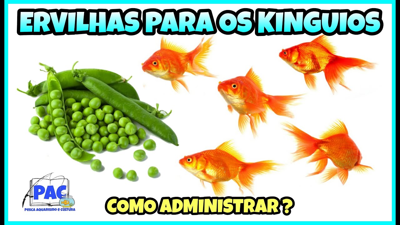 Ervilhas para os Kinguios.