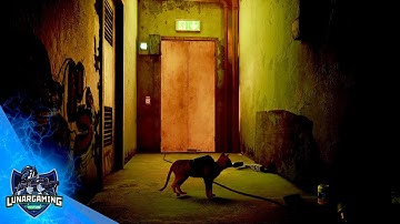 Stray - First Locked Door Keycode Location