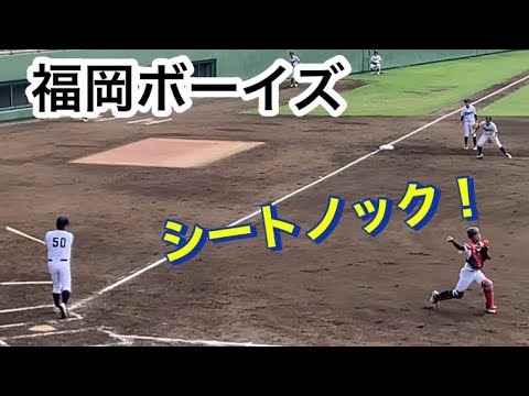 福岡ボーイズ　シートノック　ジャイアンツカップ　日本一の青森山田を倒す！