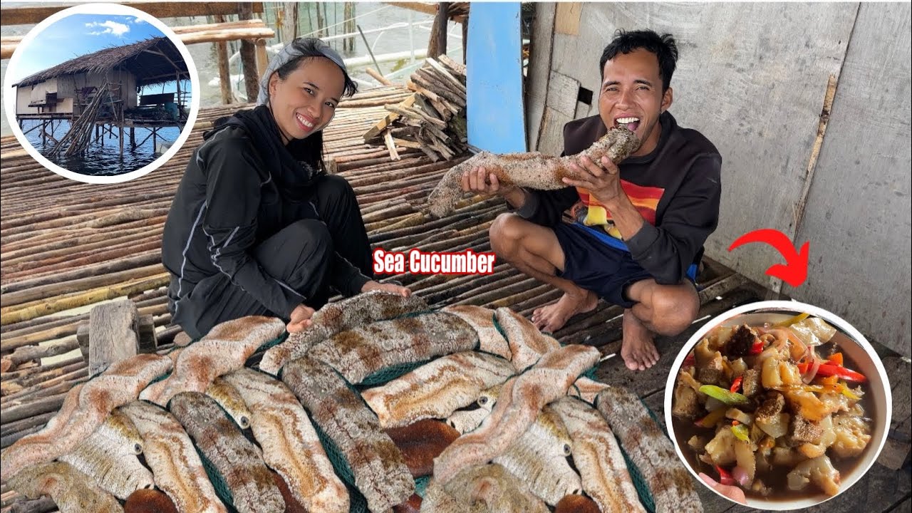 Мы приготовили гигантские морские огурцы | Как приготовить?