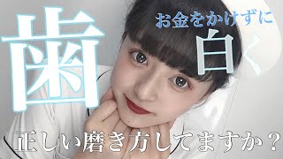 【歯磨き】お金をかけずに歯を綺麗にする方法【歯を白く！】