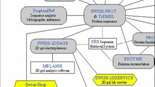 BIF401_Topic071