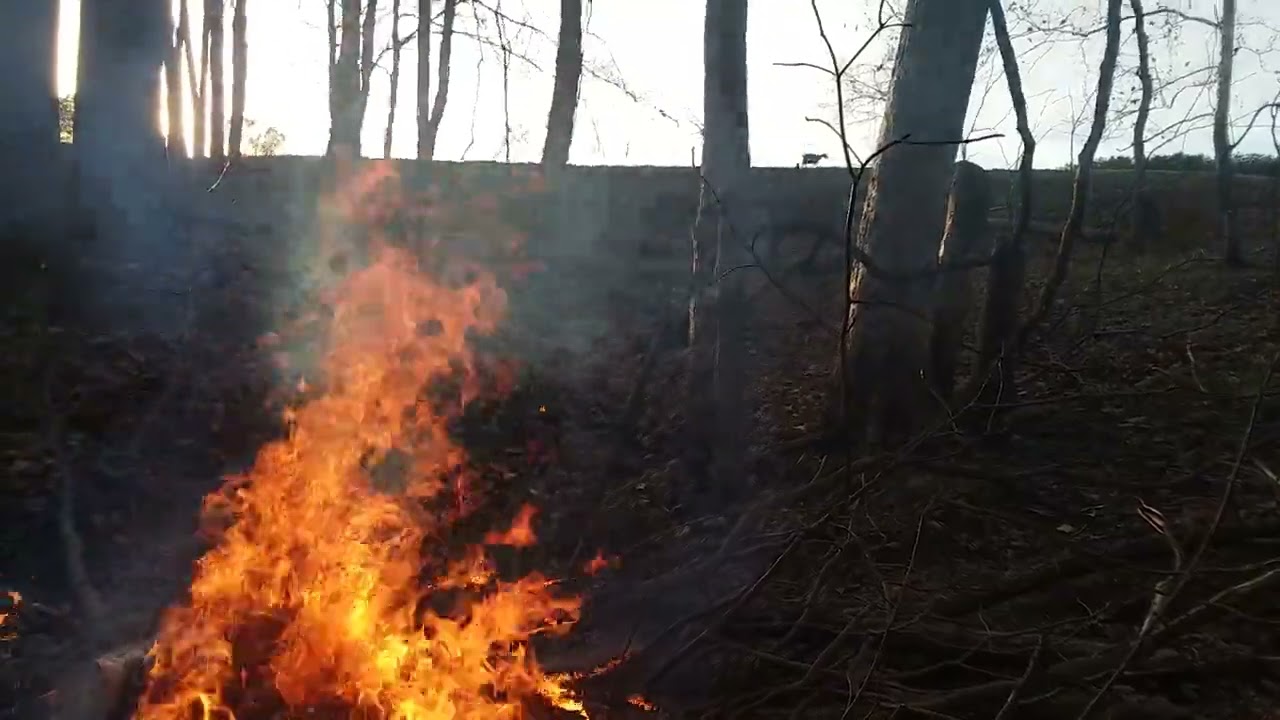 Family name is Abraham