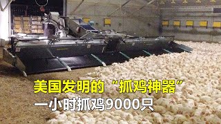 美国发明的“抓鸡神器”，一小时抓鸡9000只，养鸡场主的好帮手！