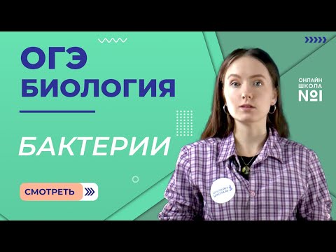 Видео: Какую морфологию бактерий можно наблюдать?