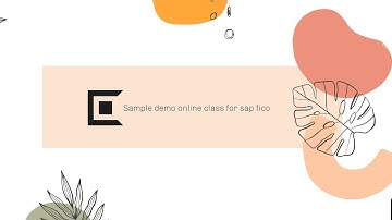 Sample video demo class for sap fico (Introduction of Sap fico)
