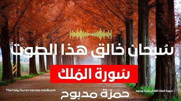 سورة الملك The Koran is a beautiful voice تلاوات رائعة تهتز لها القلوب سور كاملة حمزة مدبوح