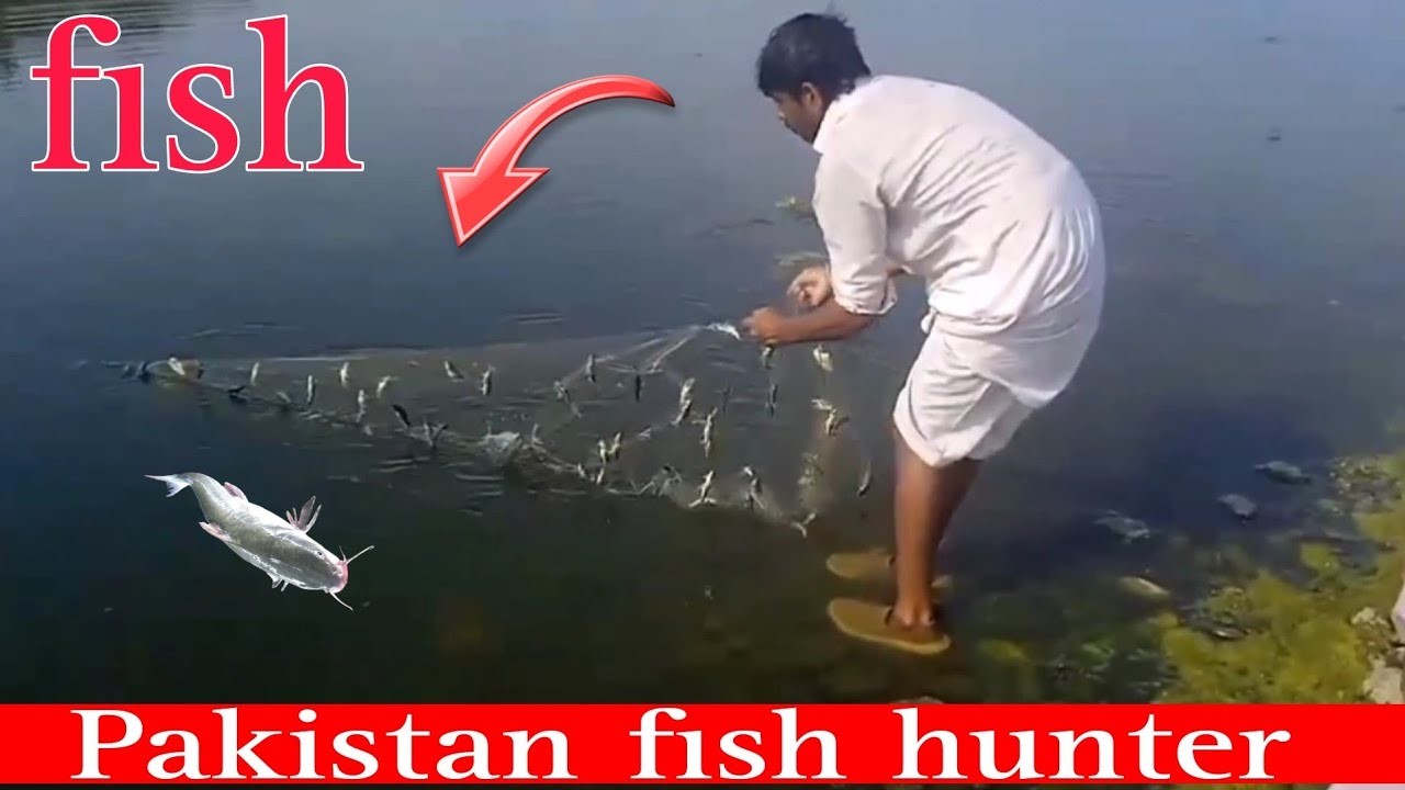 Big Rahu Fish Hunting Point Suhawa Dam Punjab Pakistan | Ustad Glozar ...