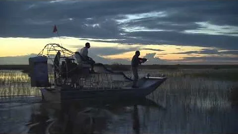 The Best Time to Visit the Everglades: Hidden Gems of Fort Lauderdale