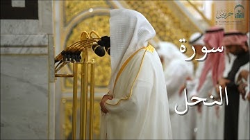 سورة النحل | المصحف الصوتي والمرئي من صلاتي التراويح والتهجد بالمسجد النبوي لعام 1446هـ.