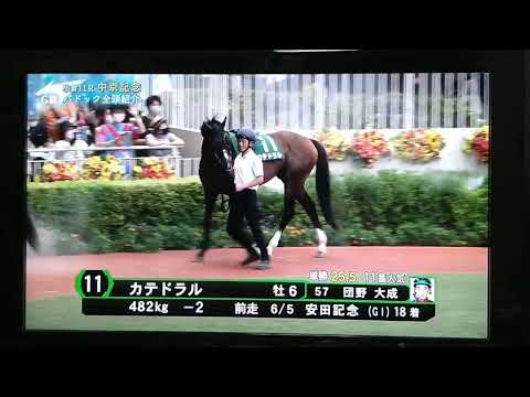 中京記念パドック22