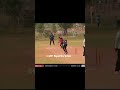 Cricket Shorts