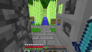 Button-Toggled Door - Minecraft