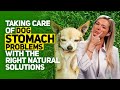 Knowing these 8 dog stomach problems natural solutions could save your pets life