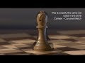 The world chess championship chess set