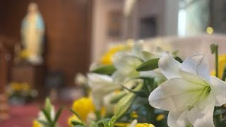 Third Sunday of Easter | April 14, 2024