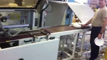 High speed side seal shrink packaging machine for plastic trays