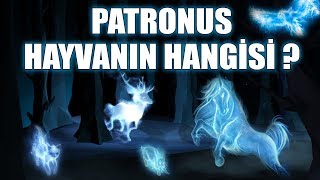 PATRONUS HAYVANIN HANGİSİ ? (Harry Potter)