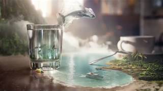 Citi AAdvantage Card - Where Adventure Begins