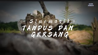 Cinematik Tandus dan Gersang