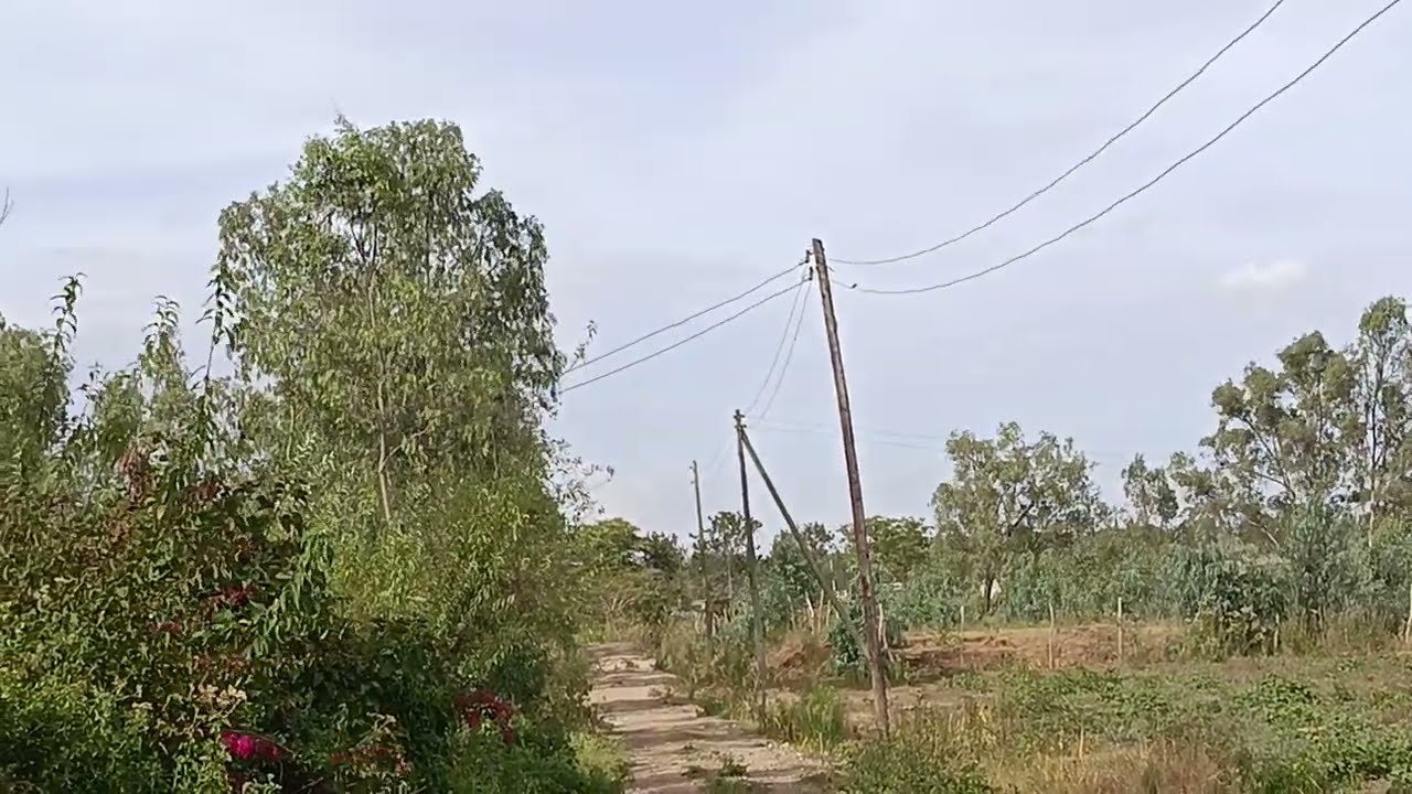 A WALK WHERE NATURE WHISPERS