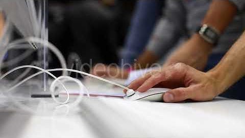 Development Team Working on the Computer | Stock Footage - Envato elements