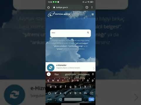 E-Devlet Dava Dosyası