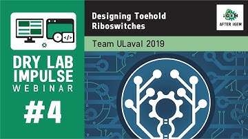 Dry Lab Impulse #4: Team ULaval 2019 - Designing Toehold Riboswitches