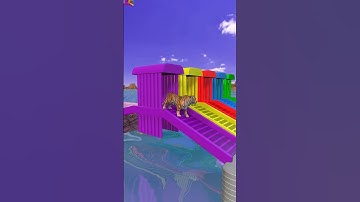 Slide game with Tiger #shorts, #animation, #cartoon #3danimation #3dgame #animals #funny